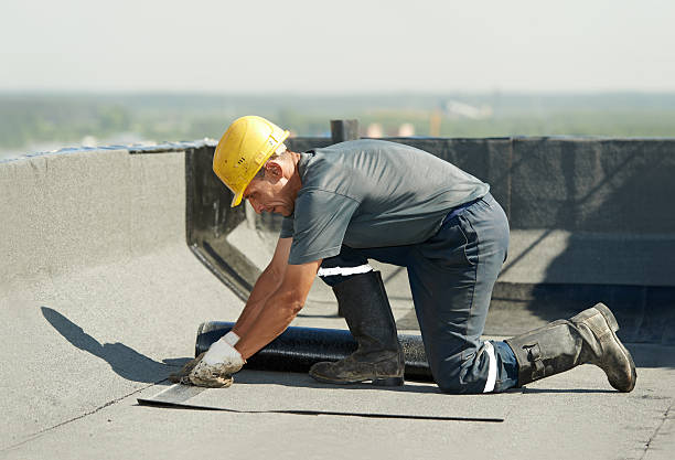 Best Geographic-Specific Insulation Services in Gurdon, AR